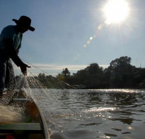 Mais de 30 mil pescadores artesanais estão com registros cancelados