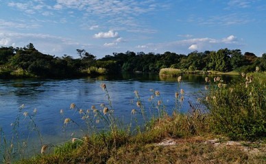 Rio Okavango tem grande potencial turístico - Reprodução/Wikipedia