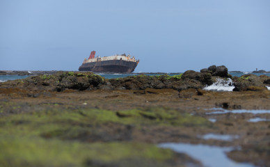 Na praia de Maia-Moiá, a areia branca está praticamente coberta de algas - ELTON MONTEIRO/LUSA