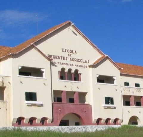 Instituto Médio Agrário do Tchivinguiro na provincia da Huila