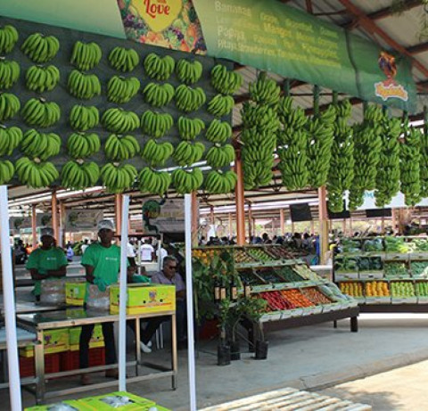 Feira da Banana na localidade do Panguila, prov&iacute;ncia do Bengo