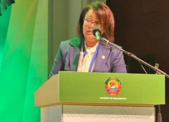 Ana Paula de Carvalho, ministra do Ambiente - Cedida