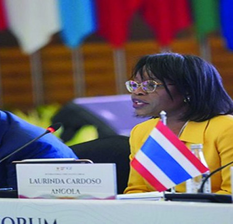 Presidente do Tribunal Constitucional, Laurinda Cardoso