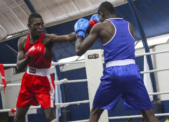 Torneio de Boxe - DR