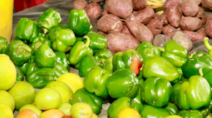 Alimentos - Augusto dos Santos/Giranotícias