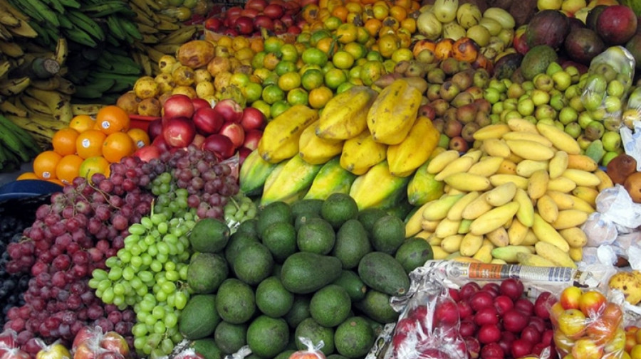 Financiamento da produção de alimentos faz parte das acções de estímulo à economia