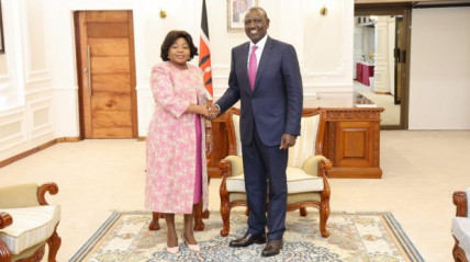 Vice-Presidente da República recebida pelo Chefe de Estado do Quénia - Edições Novembro