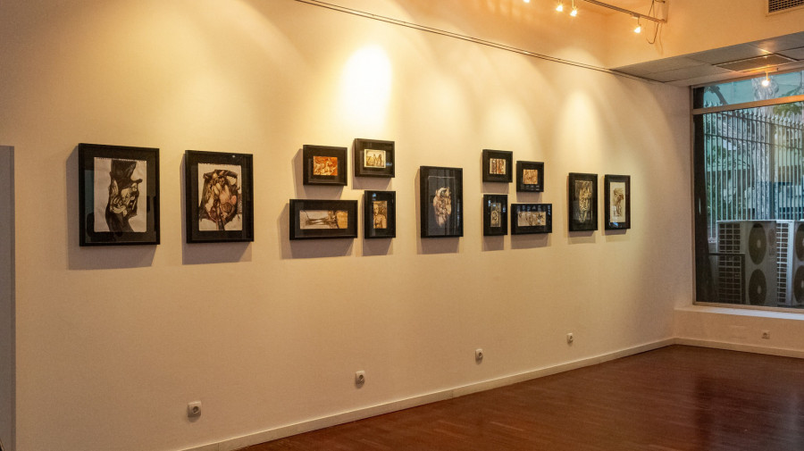 Festival contará com exposição
