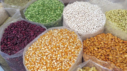 fomento da produção do trigo, do arroz, da soja e do milho. - DR