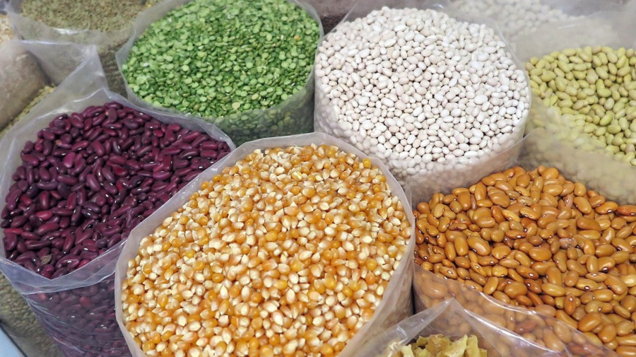fomento da produ&ccedil;&atilde;o do trigo, do arroz, da soja e do milho.