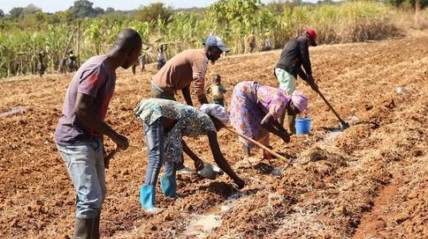 Lan&ccedil;ado Projecto de Desenvolvimento Sustent&aacute;vel da Agricultura Familiar (PRODESA) - arquivo 