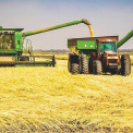 Produ&ccedil;&atilde;o agr&iacute;cola 
