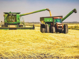 Produ&ccedil;&atilde;o agr&iacute;cola  - DR