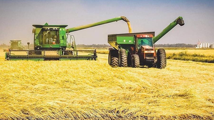 Produ&ccedil;&atilde;o agr&iacute;cola 