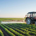 Produção agrícola deve crescer no mínimo 6% na próxima campanha