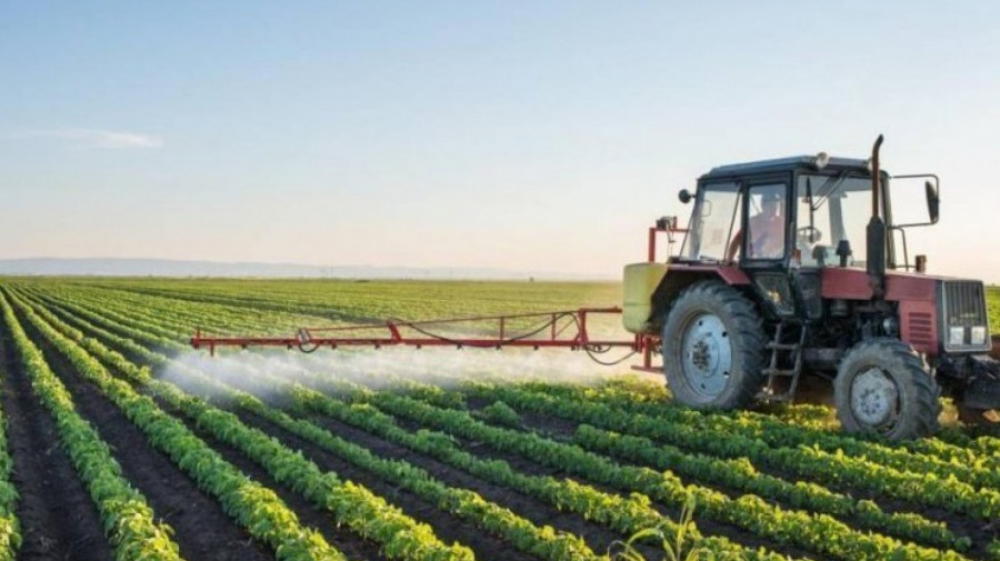 Produção agrícola deve crescer no mínimo 6% na próxima campanha