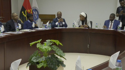 Mesa redonda sobre a Paz em África - Rede Girassol