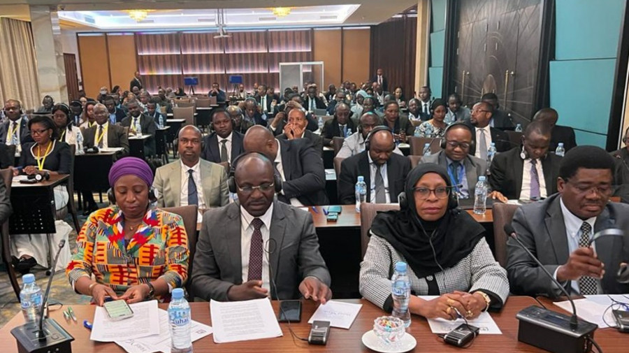 Angola e a Tanzânia identificaram novas áreas de cooperação sectorial