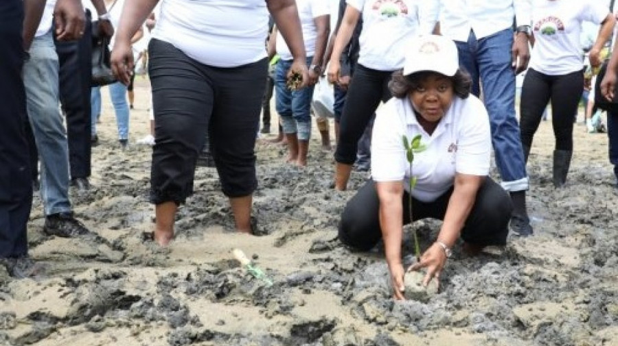 Mais de 20 mil mudas de mangais plantadas na costa de Luanda no "dia mundial das zonas húmidas"