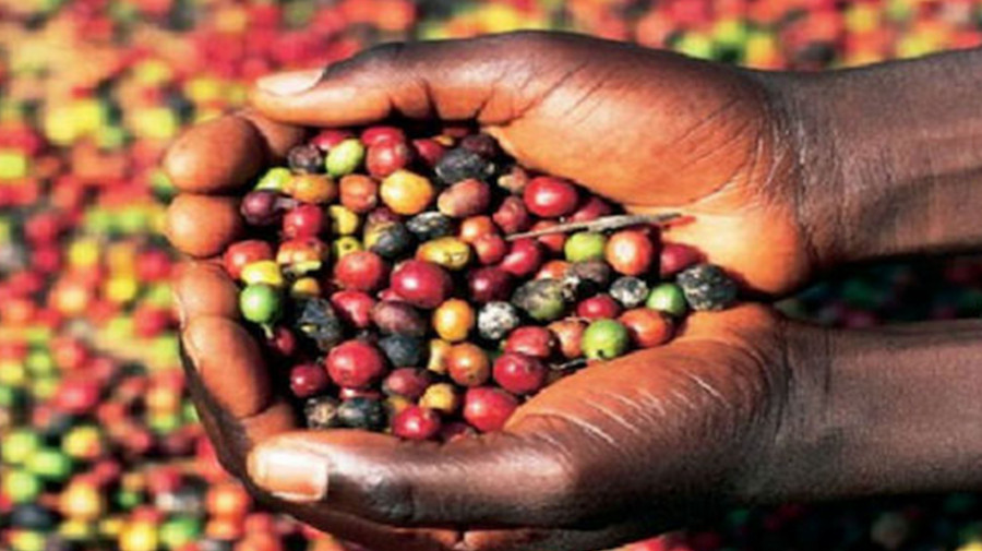 Café de Angola