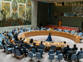 Conselho de Seguran&ccedil;a da ONU - Cedida
