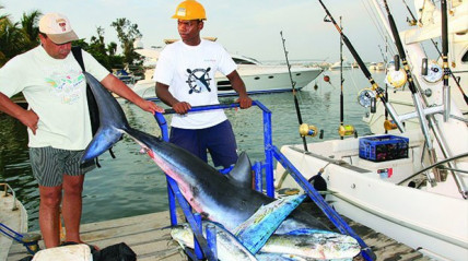 Pesca Desportiva - DR