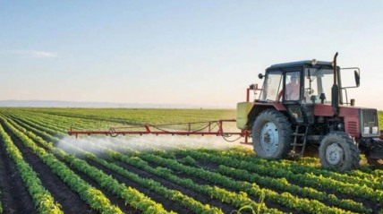 Produção agrícola  - DR