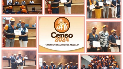 Censo 2024 adiado - DR