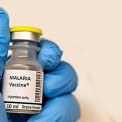 Vacina contra mal&aacute;ria