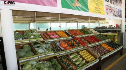 Produtos em exposição (arquivo) - DR