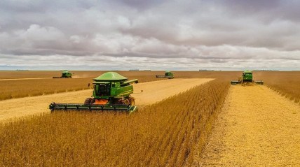 Namíbia recebe 1000 toneladas de arroz em ajuda humanitária da Índia - DR
