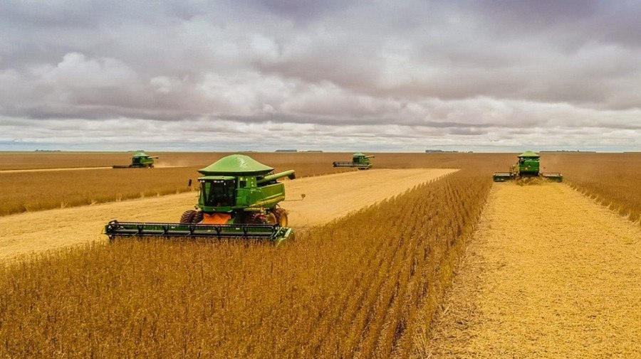 Namíbia recebe 1000 toneladas de arroz em ajuda humanitária da Índia