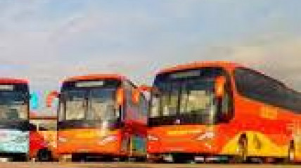 Autocarros da MACOM - DR