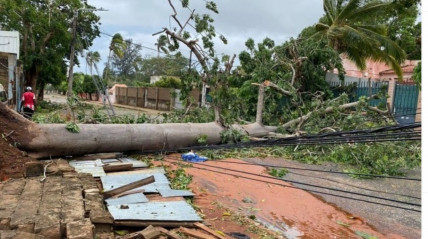 ONU atribui 4 milhões de dólares para vítimas do ciclone em Moçambique - DR