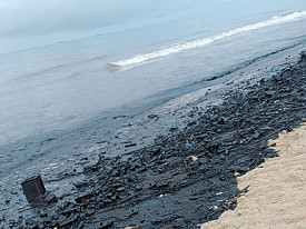 Derrame de petr&oacute;leo - Edi&ccedil;&otilde;es Novembro