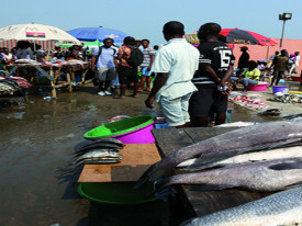 Mercado de comercializa&ccedil;&atilde;o de pescado da Mabunda, em Luanda - Edi&ccedil;&otilde;es Novembro