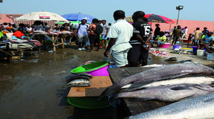 Mercado de comercialização de pescado da Mabunda, em Luanda - Edições Novembro