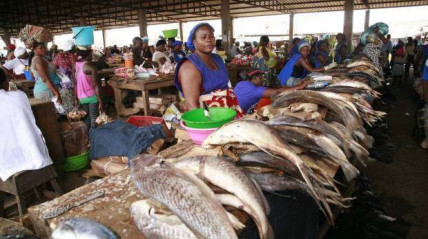 Mercado de peixe - redeangola.info