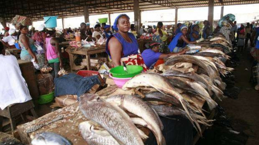 Mercado de peixe