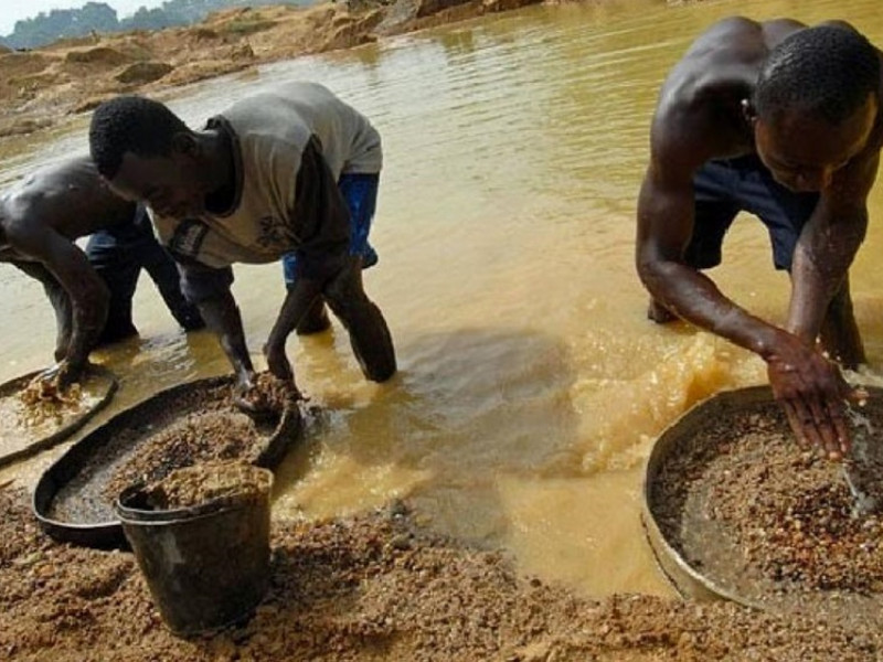 Governo Defende Combate Cerrado Explora o Ilegal De Ouro No Pa s 