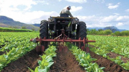 Itália financia desenvolvimento da agricultura em Moçambique e Zimbabwe - DR