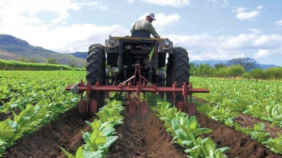 Itália financia desenvolvimento da agricultura em Moçambique e Zimbabwe