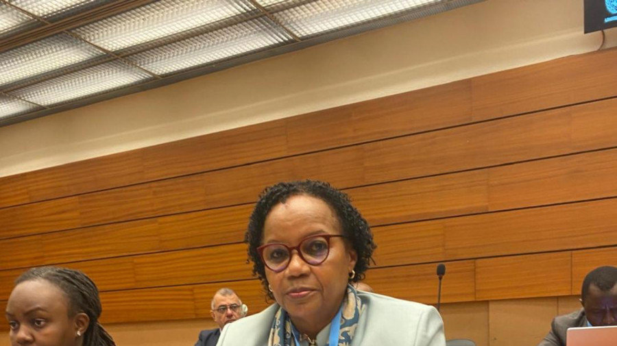 Embaixadora Ana Maria de Oliveira