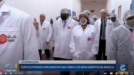 Rede Girassol - Rede Girassol
