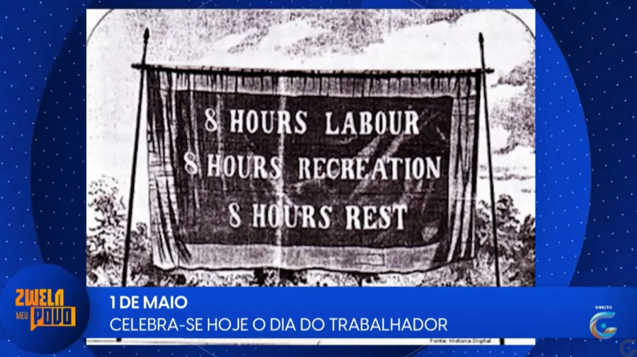 Rede Girassol