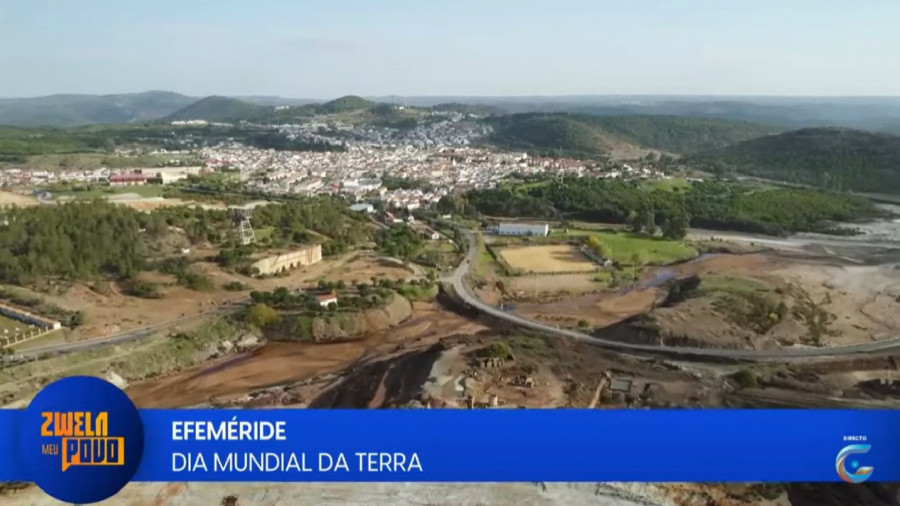 Rede Girassol