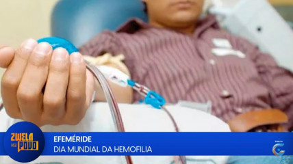 Rede Girassol - Rede Girassol