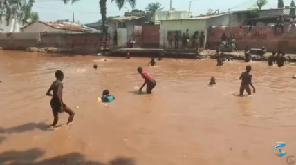 Rede Girassol - Rede Girassol