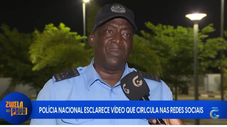 Rede Girassol