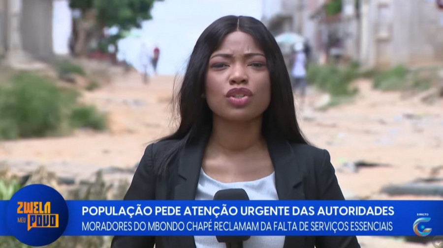 Rede Girassol